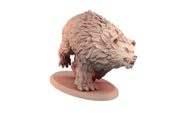Bear Bundle